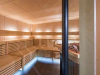 Wellness Moderner Holzbadezimmer mit Sauna und Heizungskammer