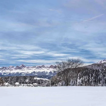 Schneebedeckte Landschaft mit Bergen, Bäumen und blauem Himmel