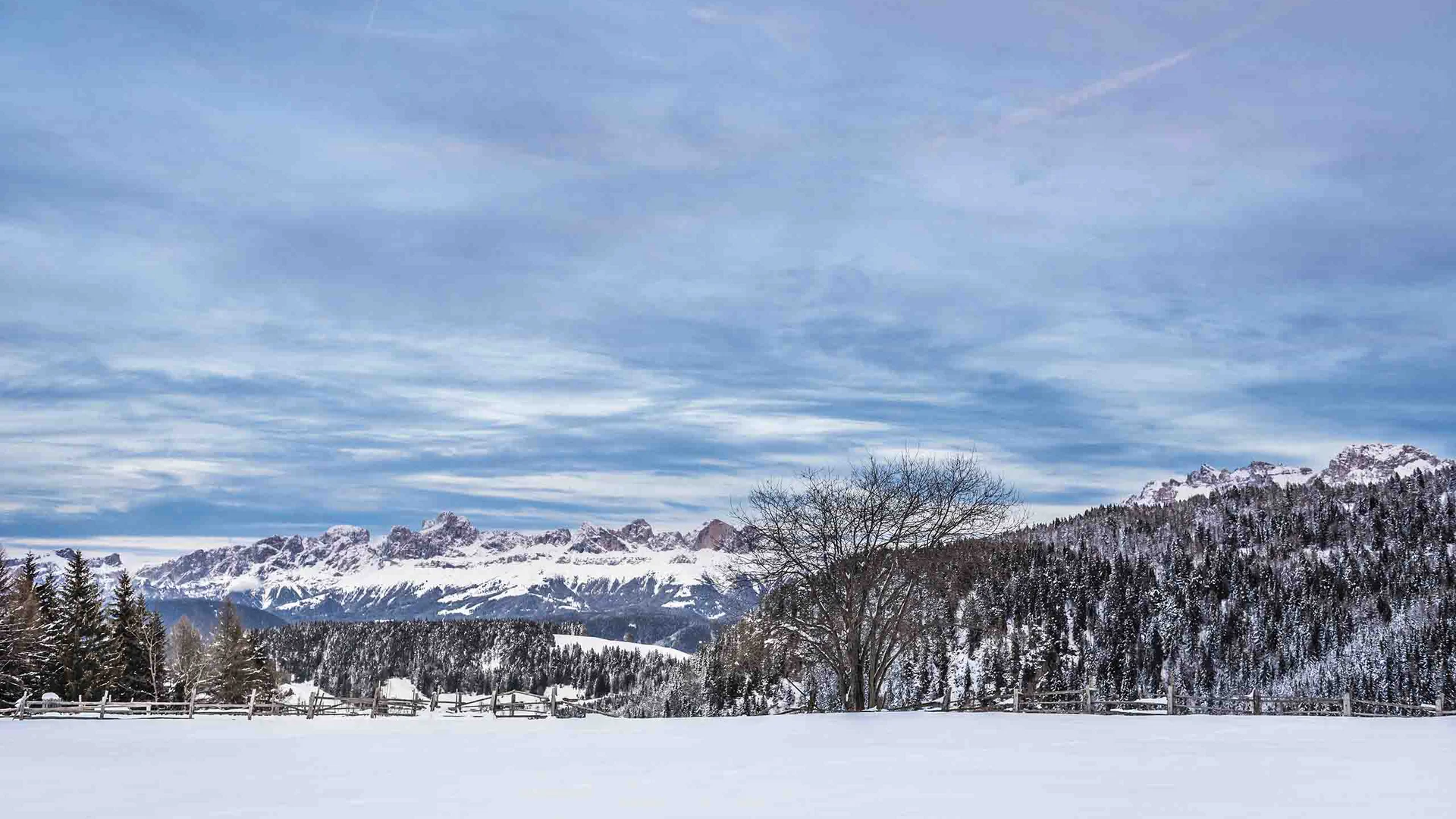 Schneebedeckte Landschaft mit Bergen, Bäumen und blauem Himmel