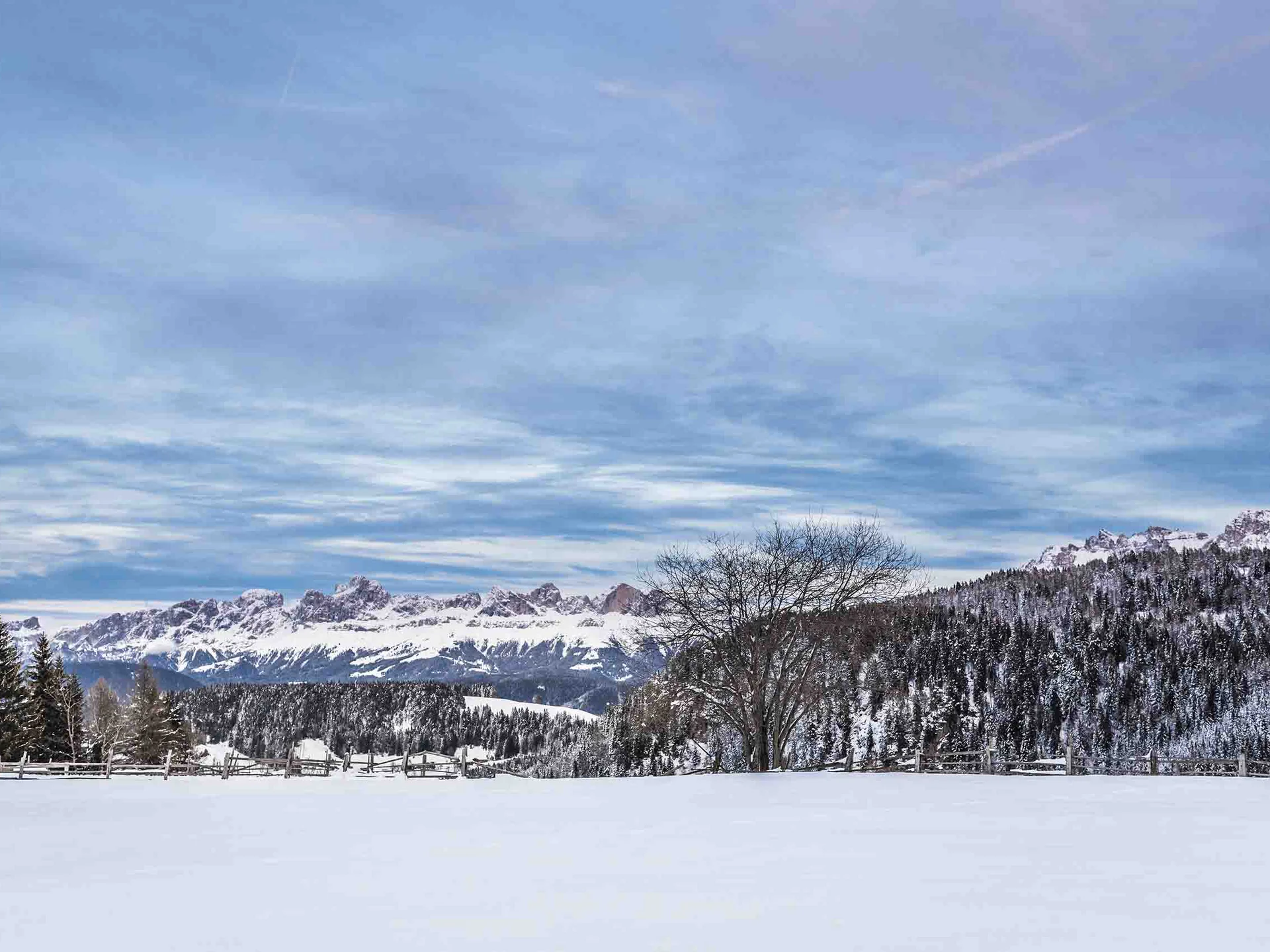 Schneebedeckte Landschaft mit Bergen, Bäumen und blauem Himmel
