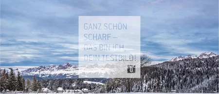 Paesaggio innevato con montagne, alberi e cielo azzurro