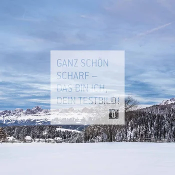 Schneebedeckte Landschaft mit Bergen, Bäumen und blauem Himmel