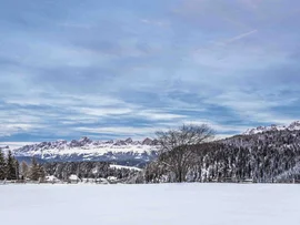 Schneebedeckte Landschaft mit Bergen, Bäumen und blauem Himmel