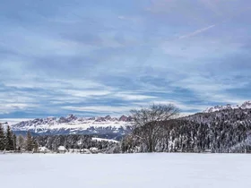 Schneebedeckte Landschaft mit Bergen, Bäumen und blauem Himmel