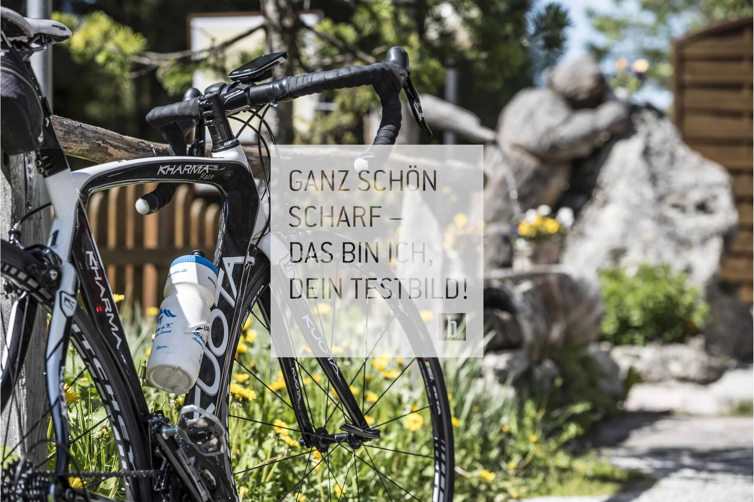Black and white road bike with water bottle in front of garden with rocks and flowers