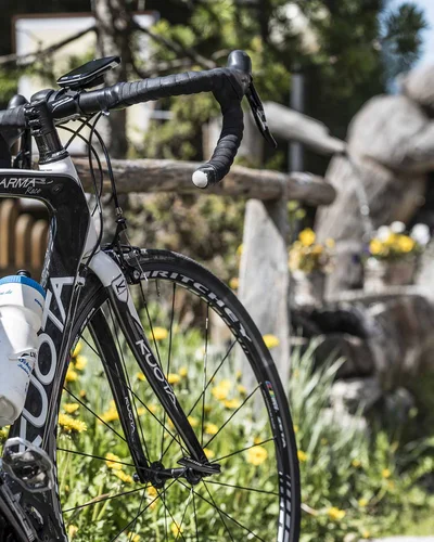 Schwarz-weißes Rennrad mit Trinkflasche vor Garten mit Felsen und Blumen
