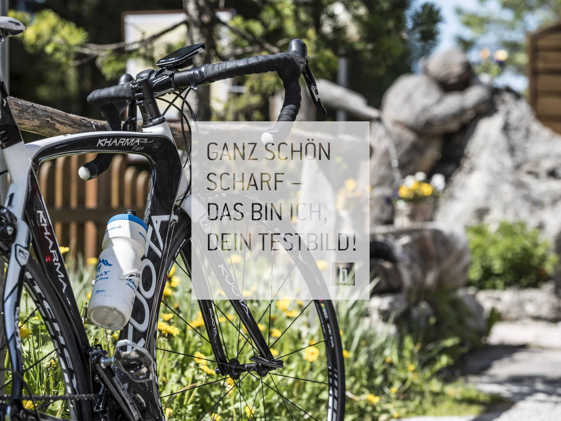 Schwarz-weißes Rennrad mit Trinkflasche vor Garten mit Felsen und Blumen