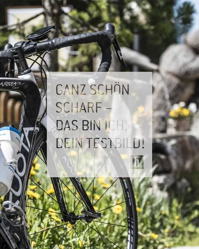 Schwarz-weißes Rennrad mit Trinkflasche vor Garten mit Felsen und Blumen