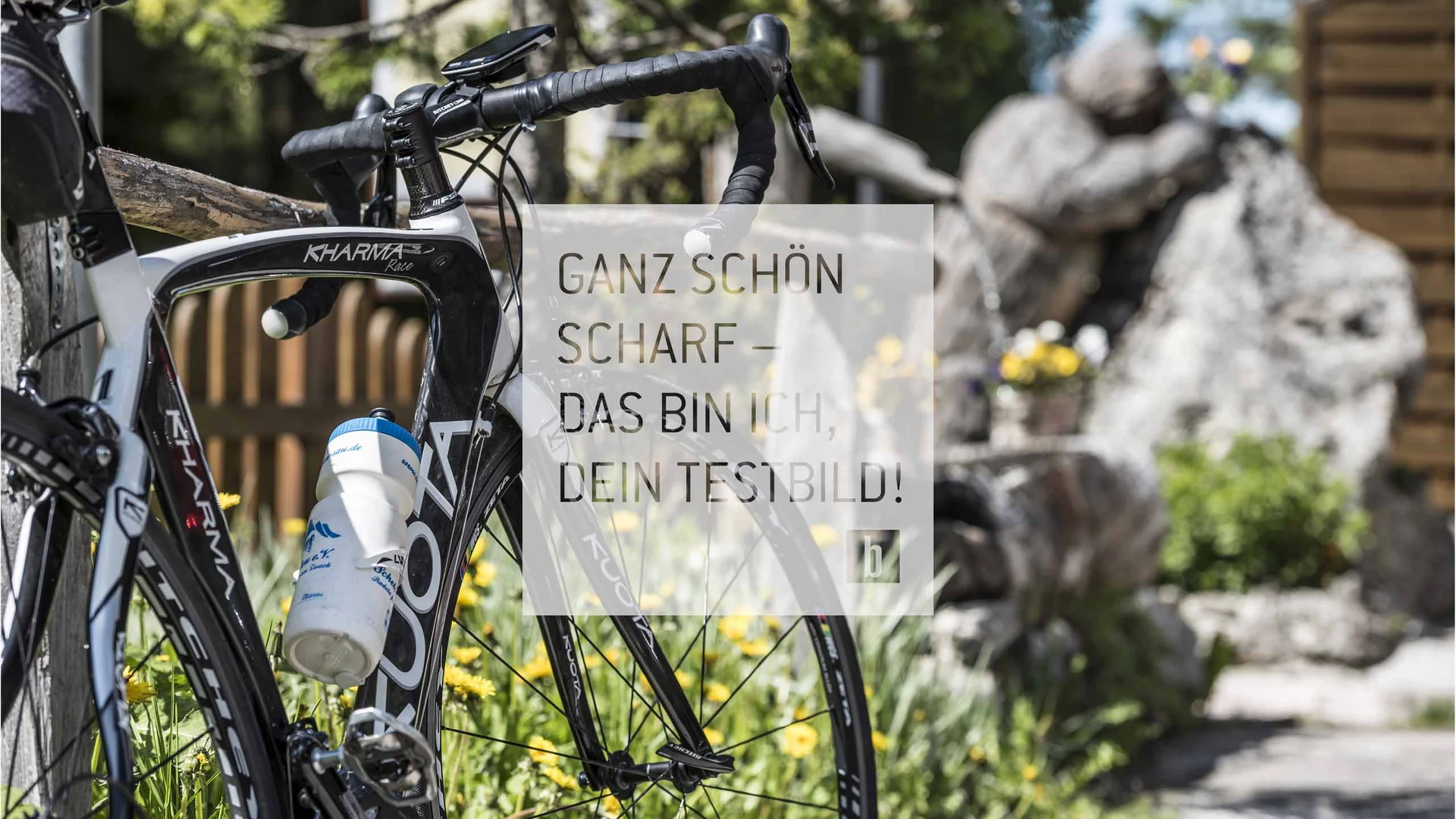 Schwarz-weißes Rennrad mit Trinkflasche vor Garten mit Felsen und Blumen