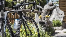 Schwarz-weißes Rennrad mit Trinkflasche vor Garten mit Felsen und Blumen